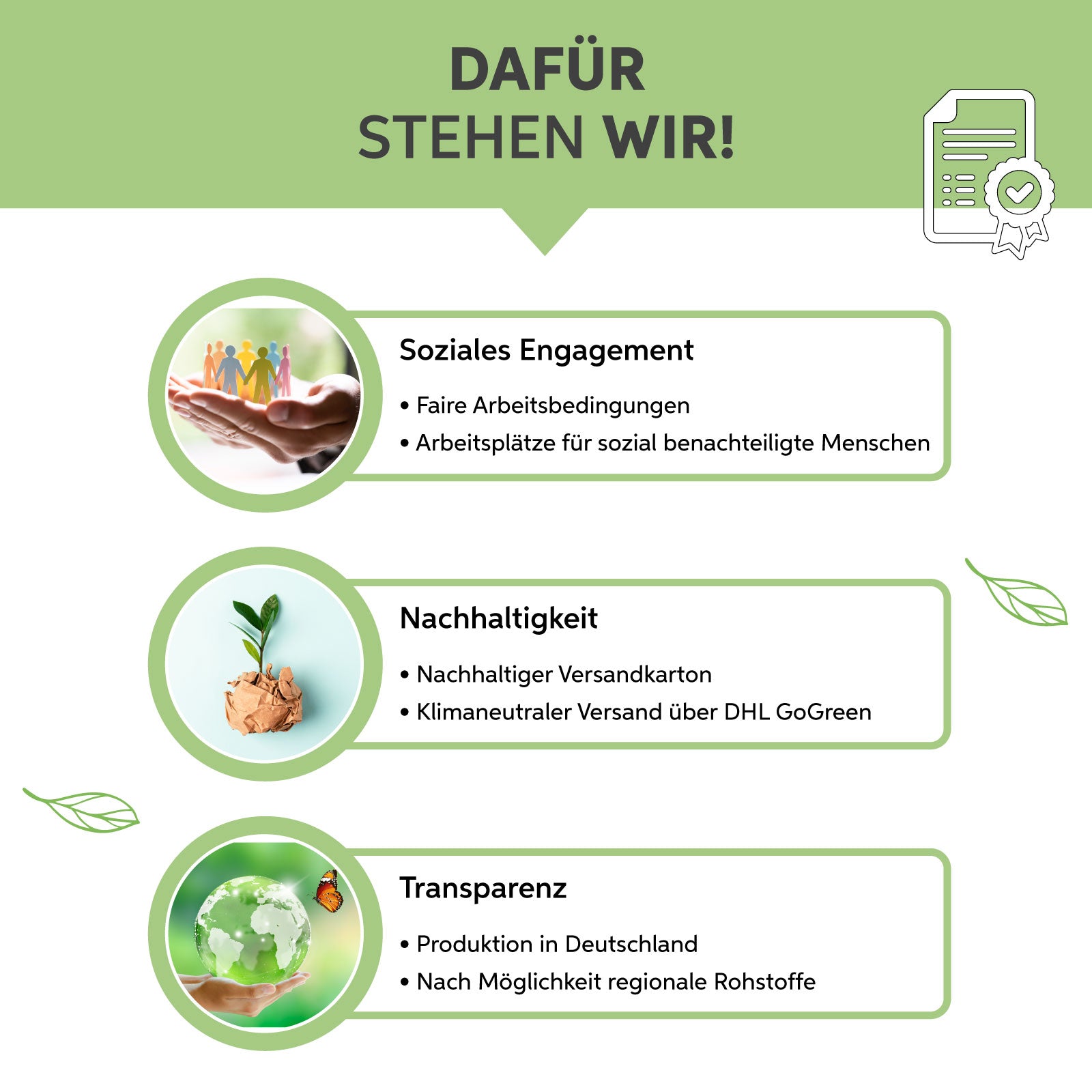 Bio Gerstengras Kapseln Eltabia