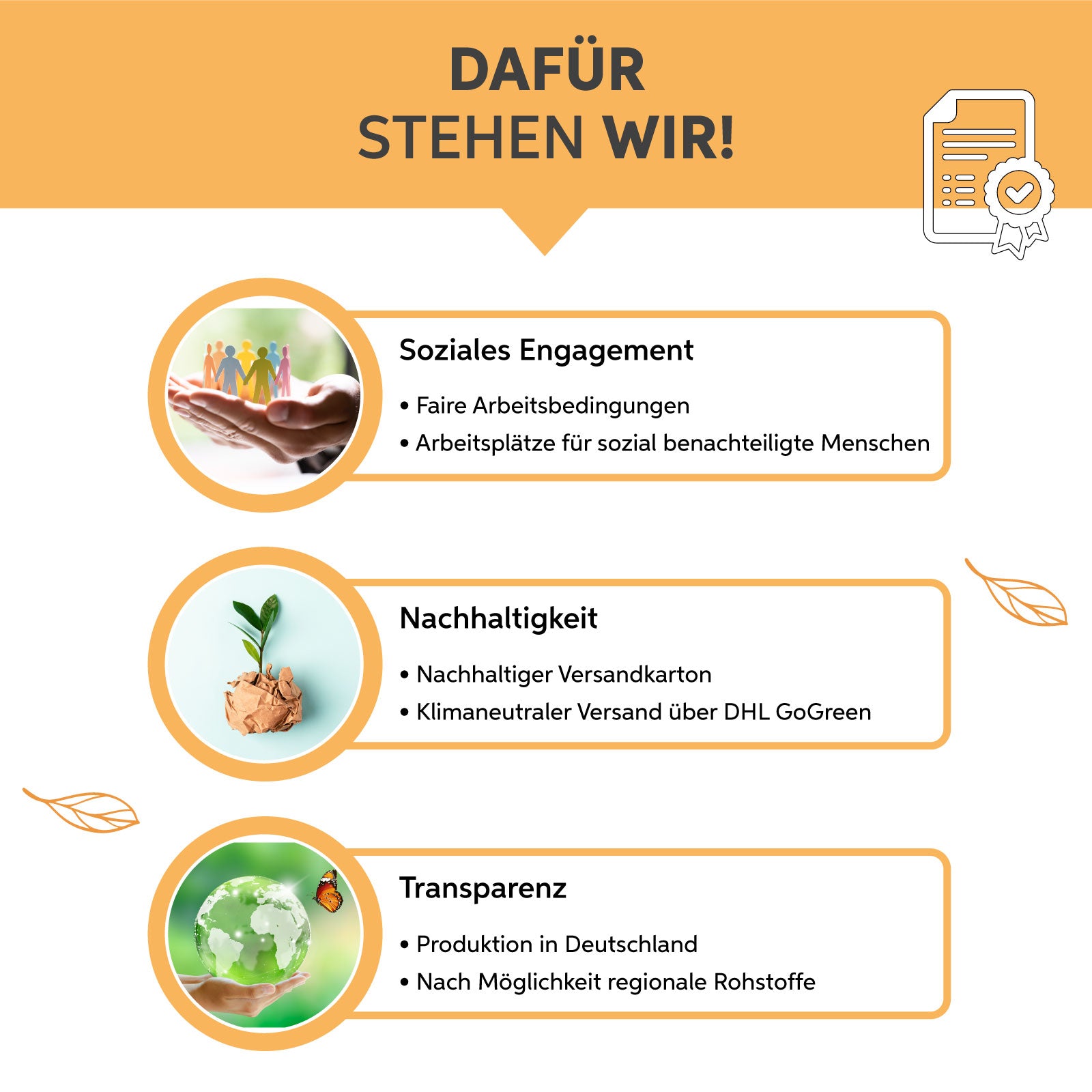 Bio Kurkuma Pulver Eltabia