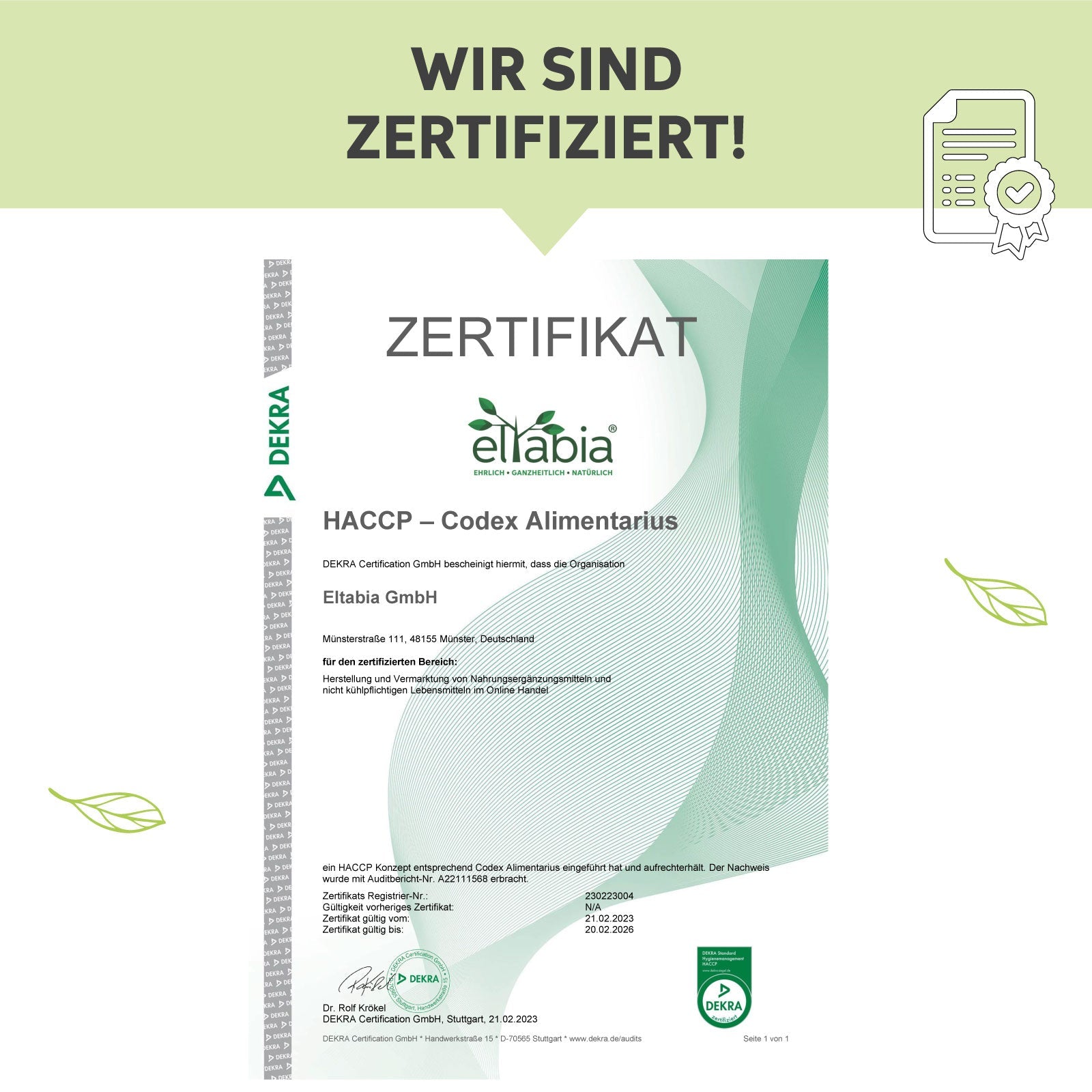 Bio-Weizengras Pulver Eltabia