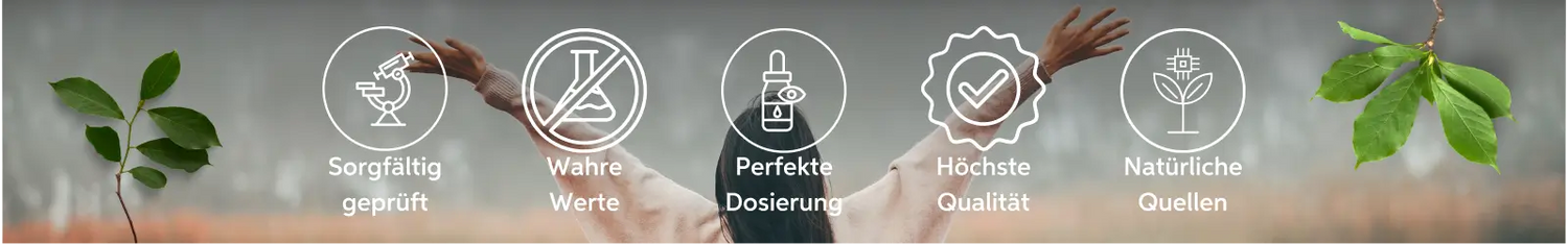 Vorteile bei Eltabia