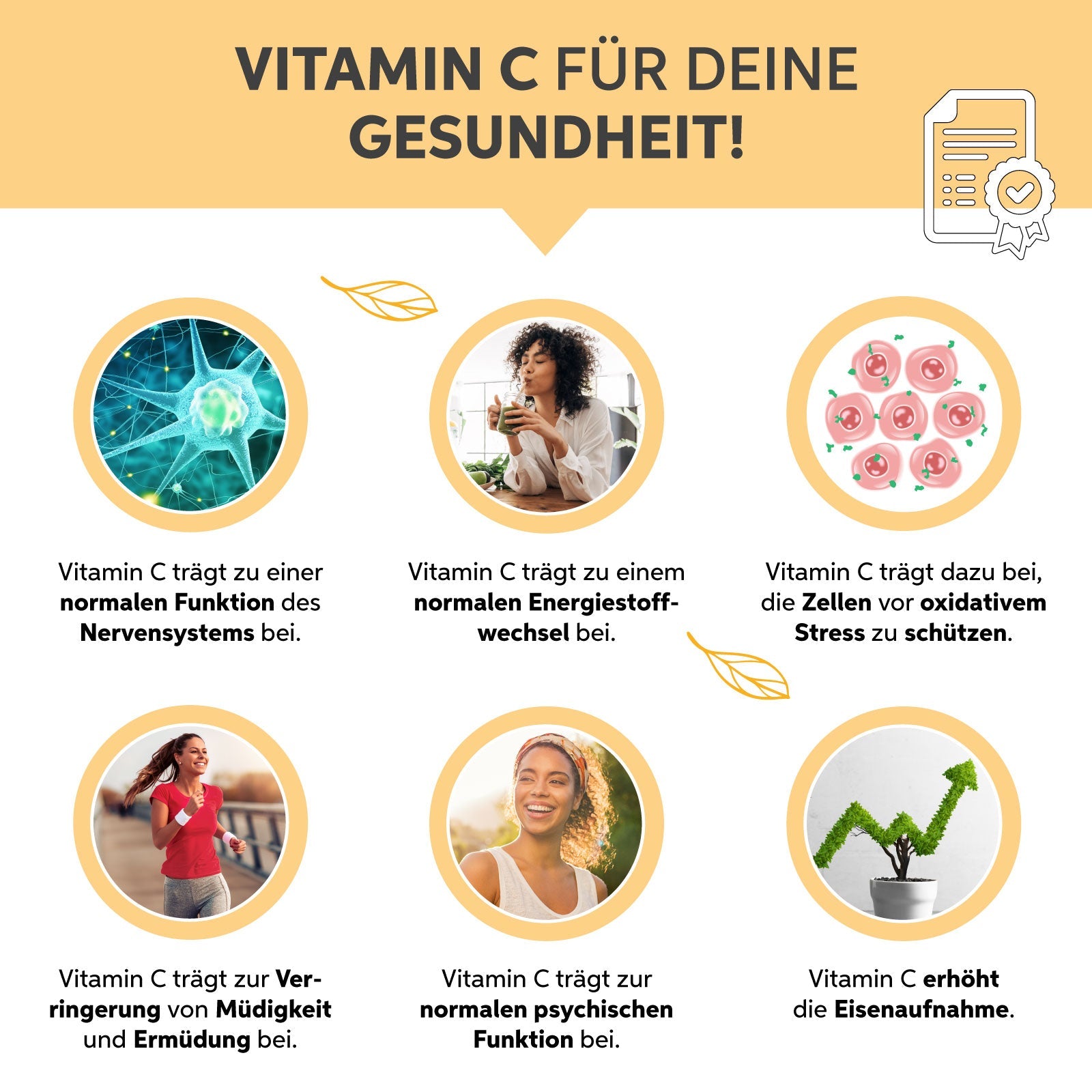 Acerola Pulver -Vitamin C Eltabia