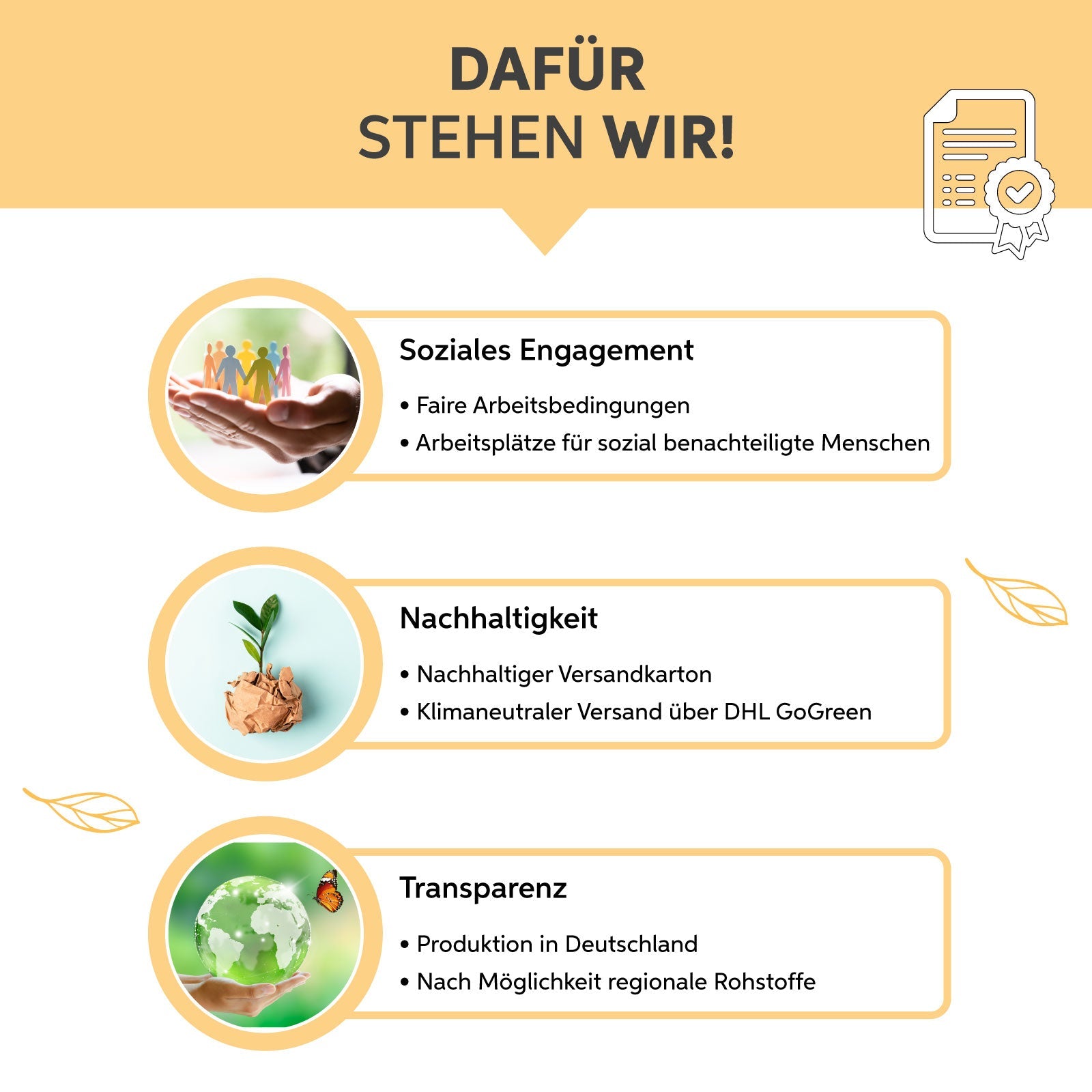 Acerola Pulver -Vitamin C Eltabia