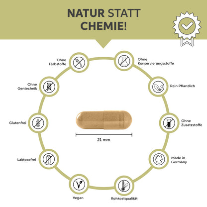 Ashwaghanda Zusammensetzung