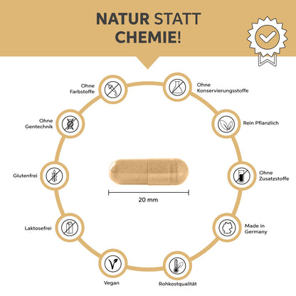 Bio Flohsamenschalen Kapseln – 99% Reinheit Eltabia