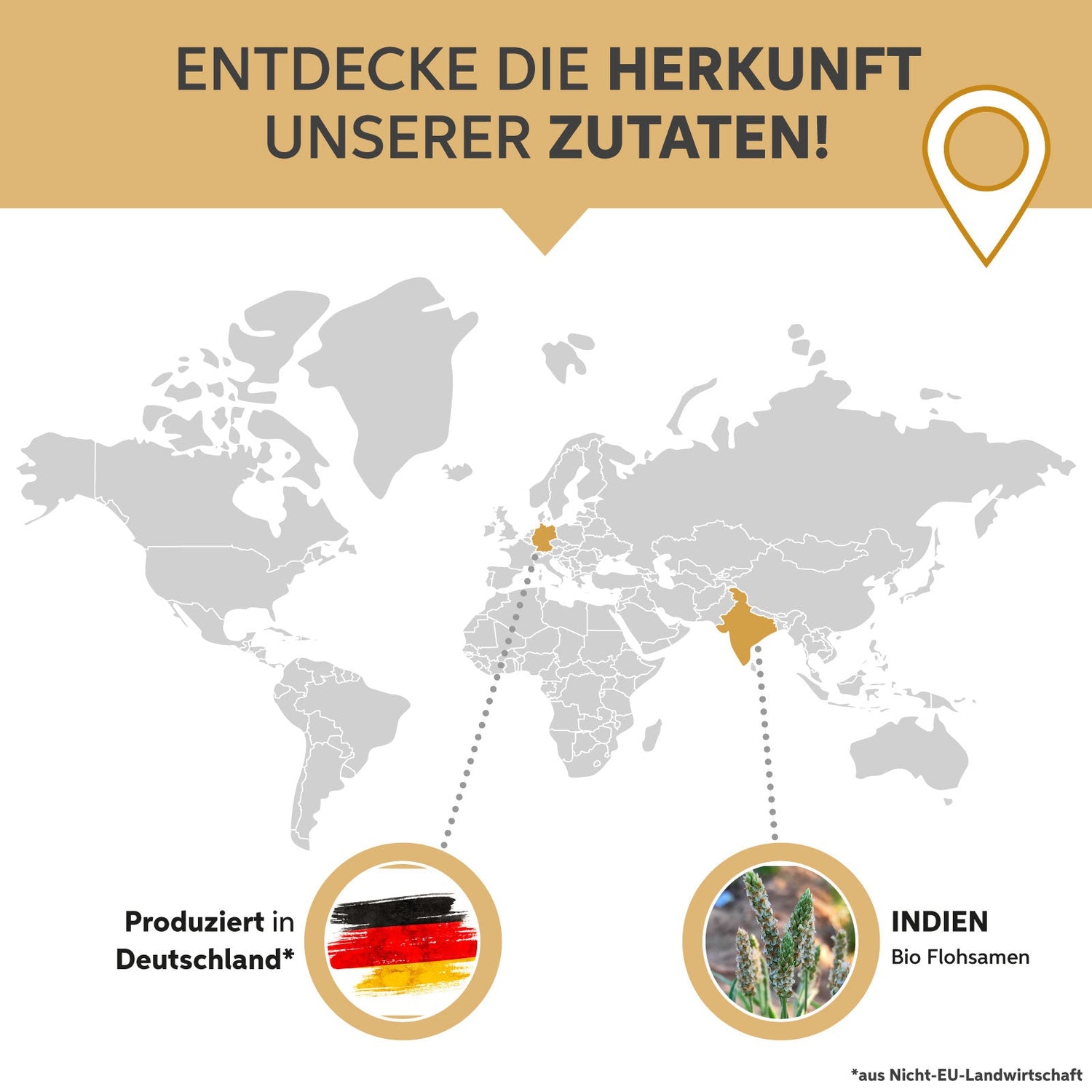 Bio Flohsamenschalen Pulver - 99% Reinheit Eltabia