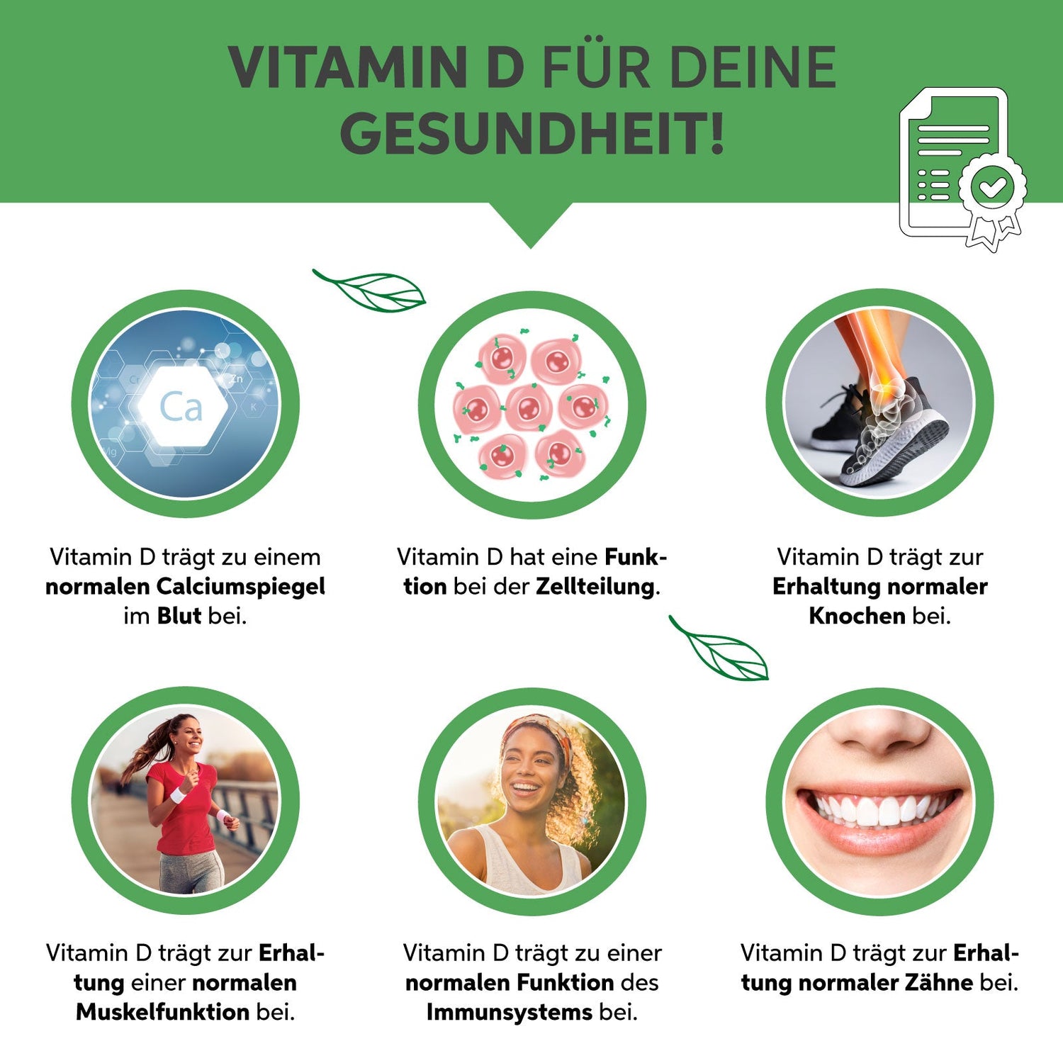 Bio Green Trio Presslinge (Mix aus Chlorella, Spirulina und Gerstengras) Eltabia