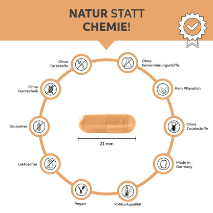 Bio Hagebutten Kapseln Eltabia