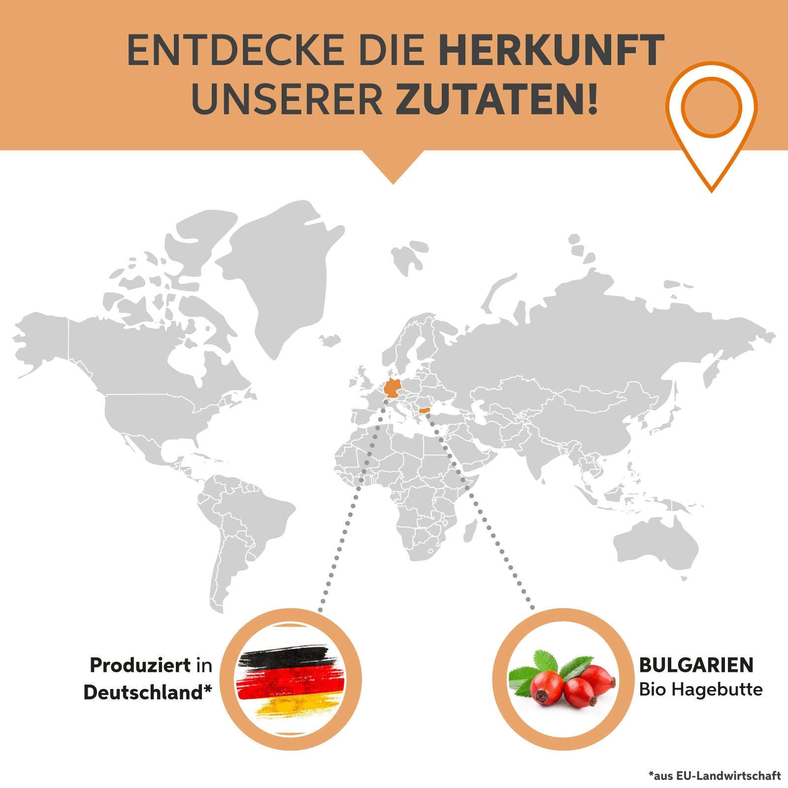 Bio Hagebutten Pulver Eltabia