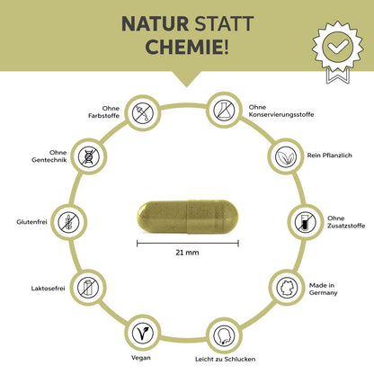 Bio Kurkuma Gerstengras Kapseln Eltabia
