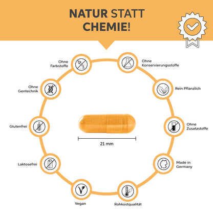 Bio Kurkuma Piperin Kapseln Eltabia