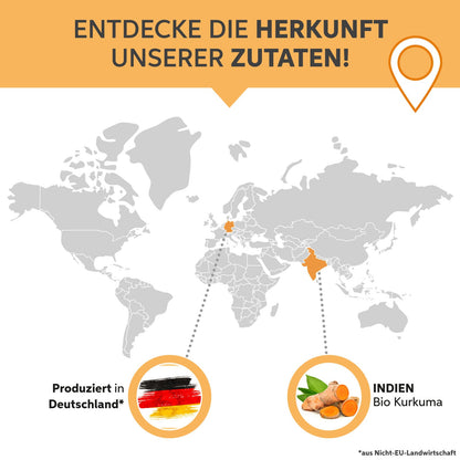 Bio Kurkuma Pulver Eltabia