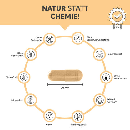 Bio Maca Kapseln Eltabia