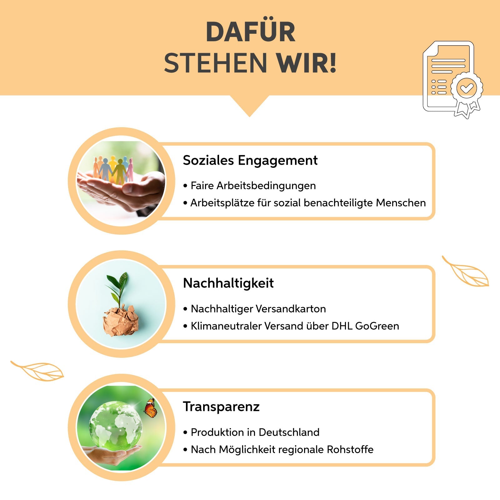 Bio Maca Kapseln Eltabia