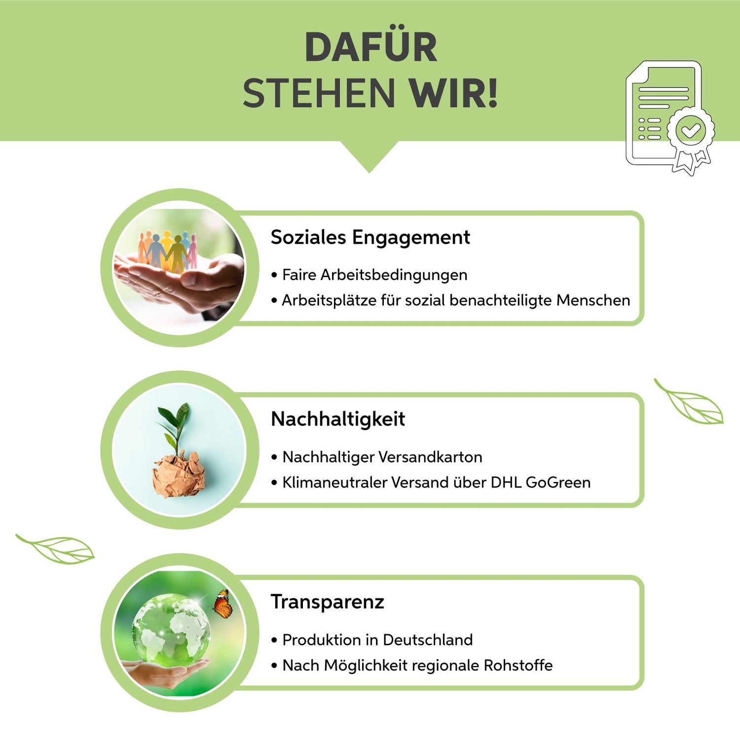 Bio Matcha Pulver Eltabia