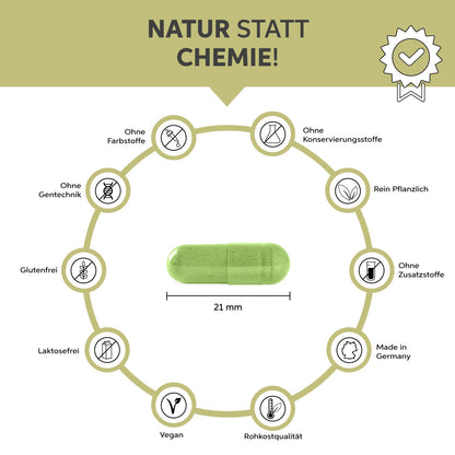 Bio Moringa Kapseln Eltabia