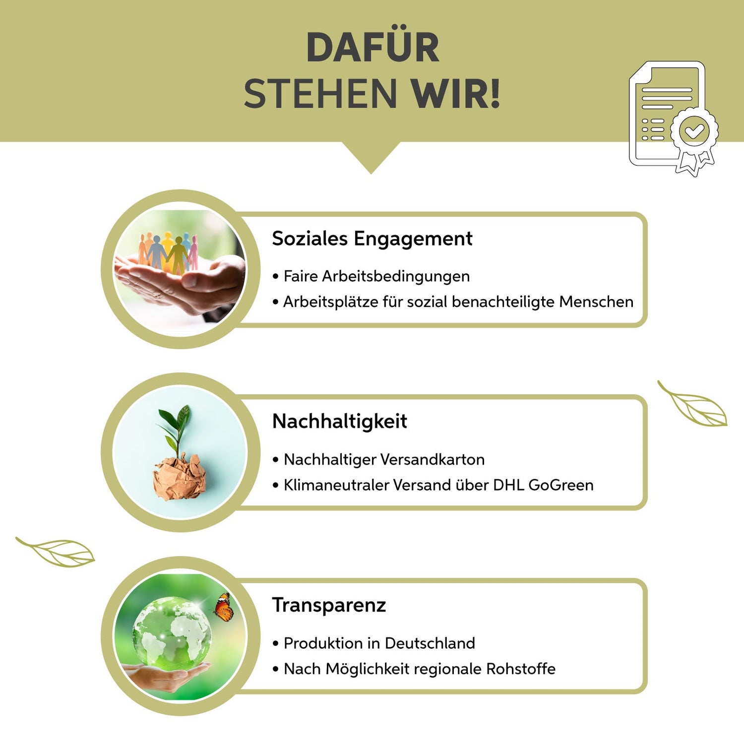 Bio Moringa Kapseln Eltabia