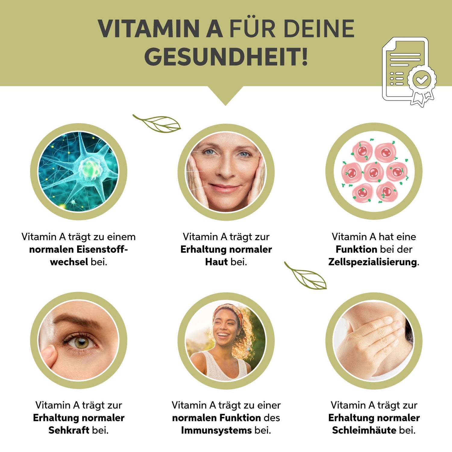 Bio Moringa Pulver Eltabia