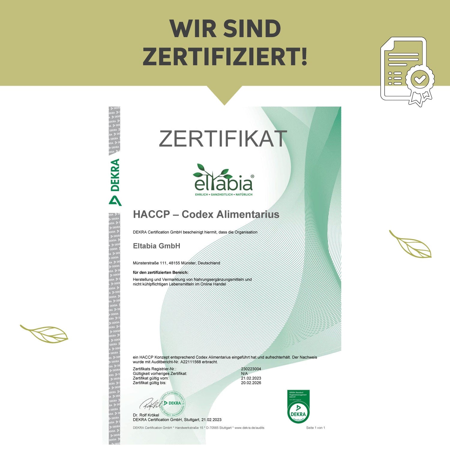 Bio Moringa Pulver Eltabia