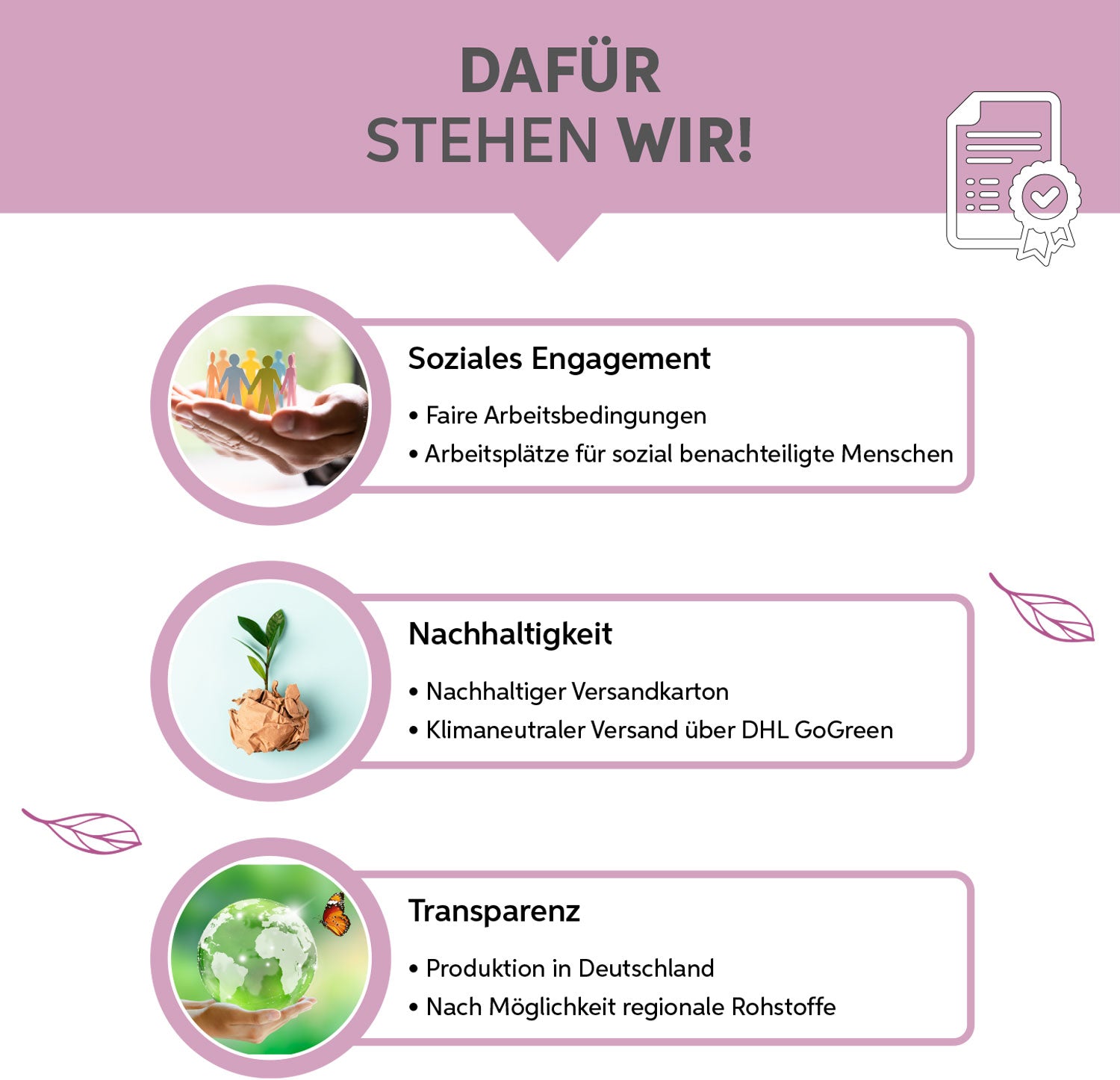 Traubenkernextrakt 95% OPC Pulver Eltabia