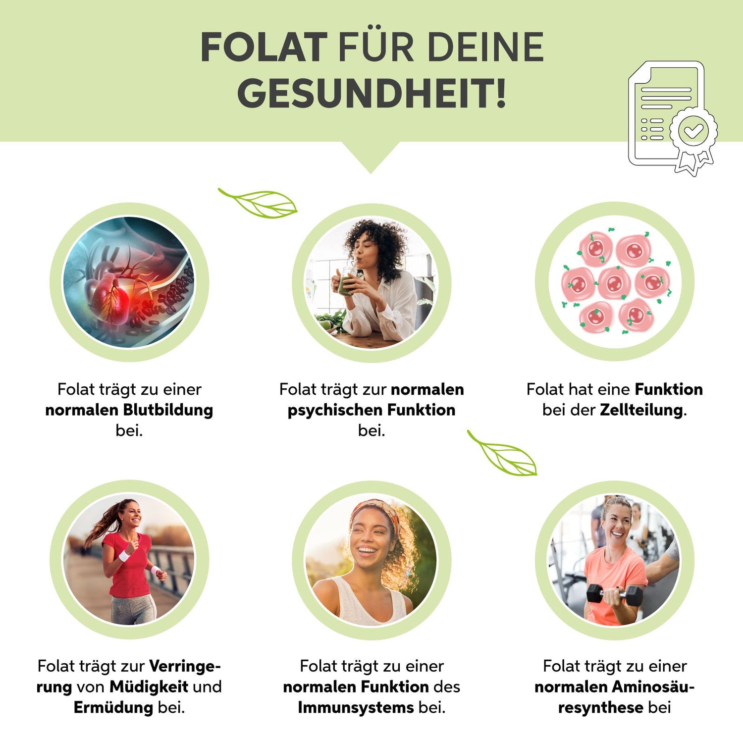 Bio-Weizengras Kapseln Eltabia