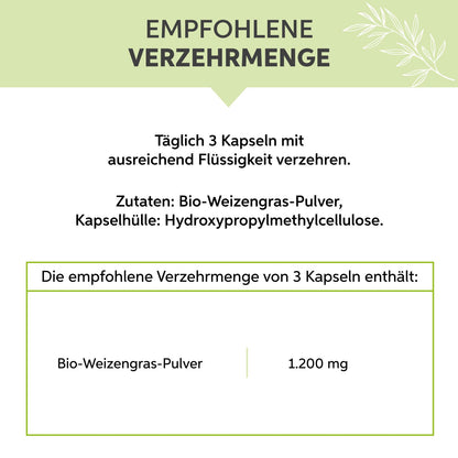 Bio-Weizengras Kapseln Eltabia