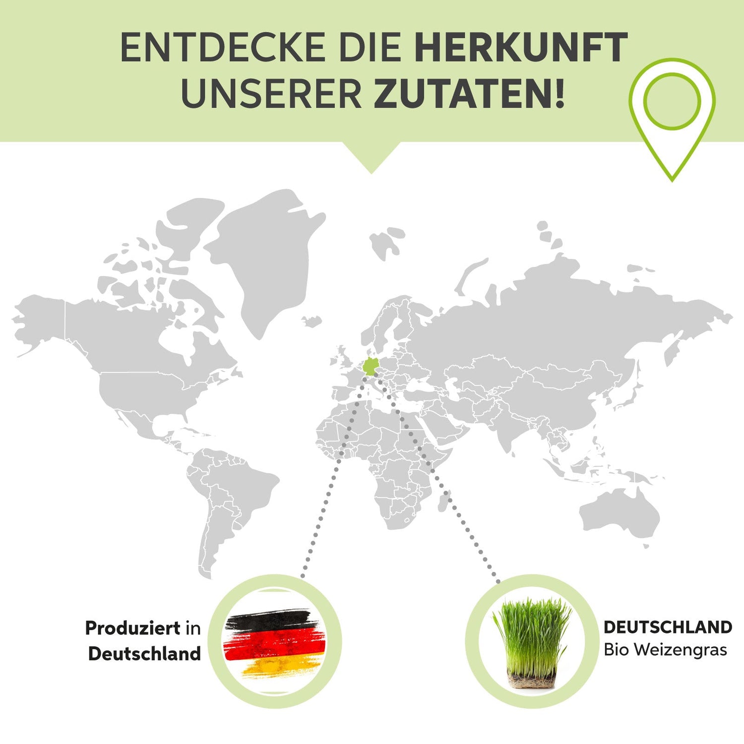 Bio-Weizengras Pulver Eltabia