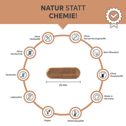 Bio Ceylon Zimt Kapseln Eltabia
