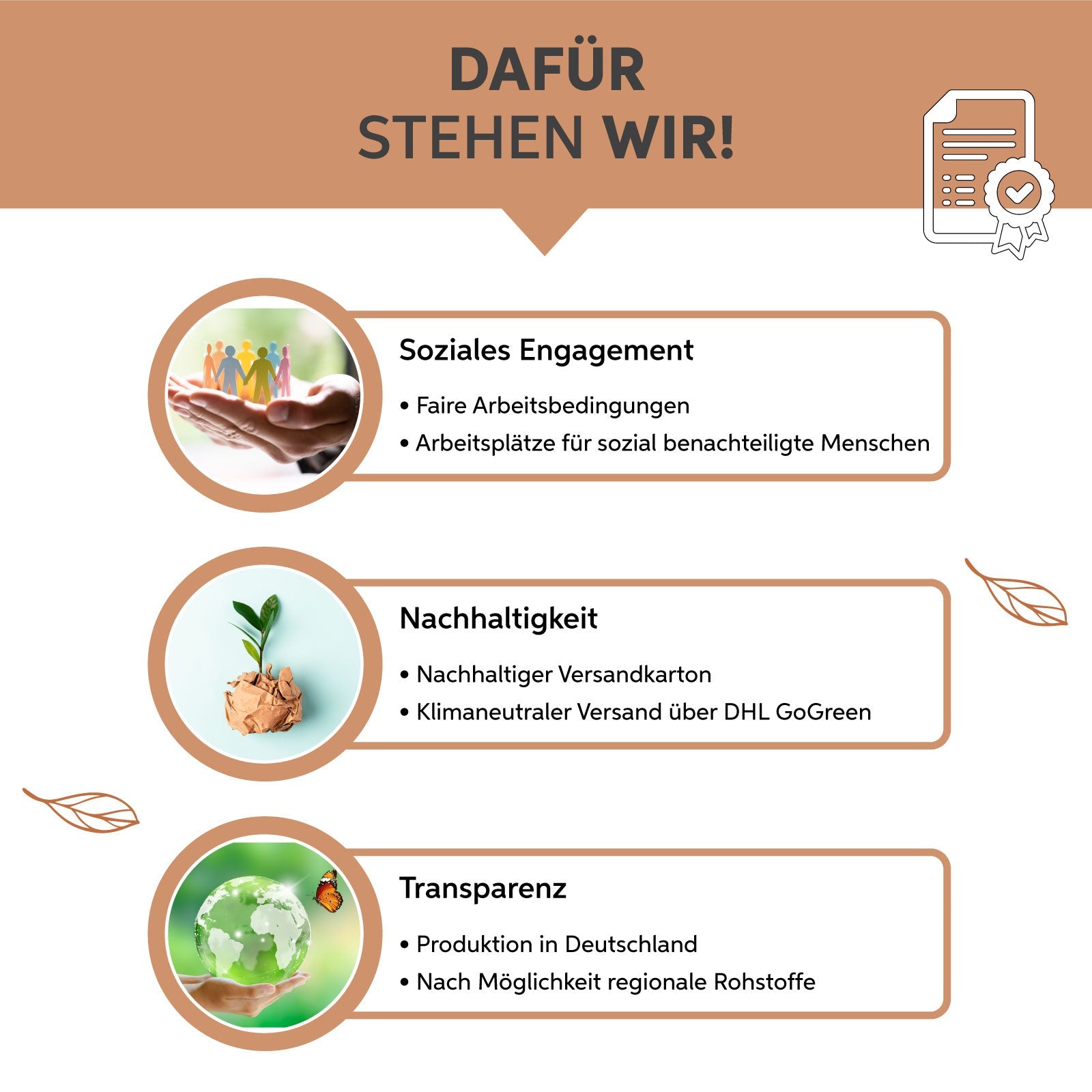 Bio Ceylon Zimt Kapseln Eltabia