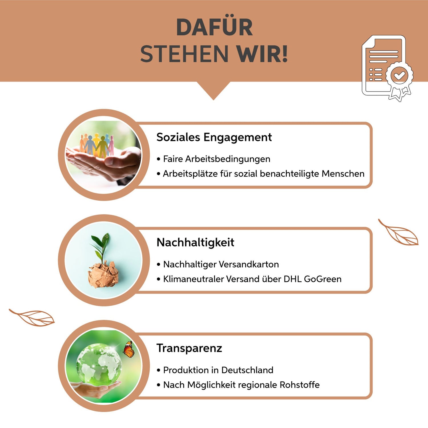 Bio Ceylon Zimt Pulver Eltabia