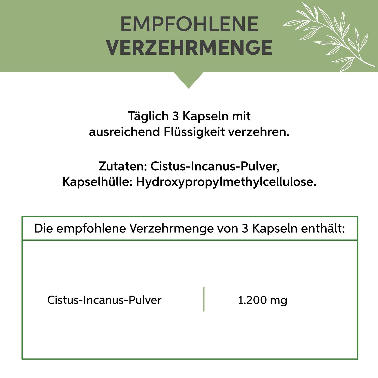 Cistus Incanus Kapseln Eltabia