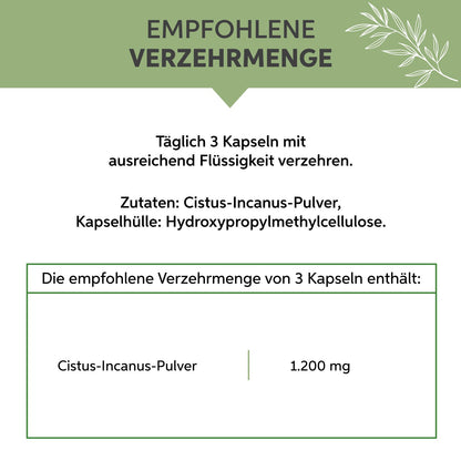 Cistus Incanus Kapseln Eltabia