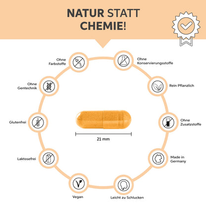 Coenzym Q10 Kapsel hochdosiert 200mg/Kapsel Eltabia