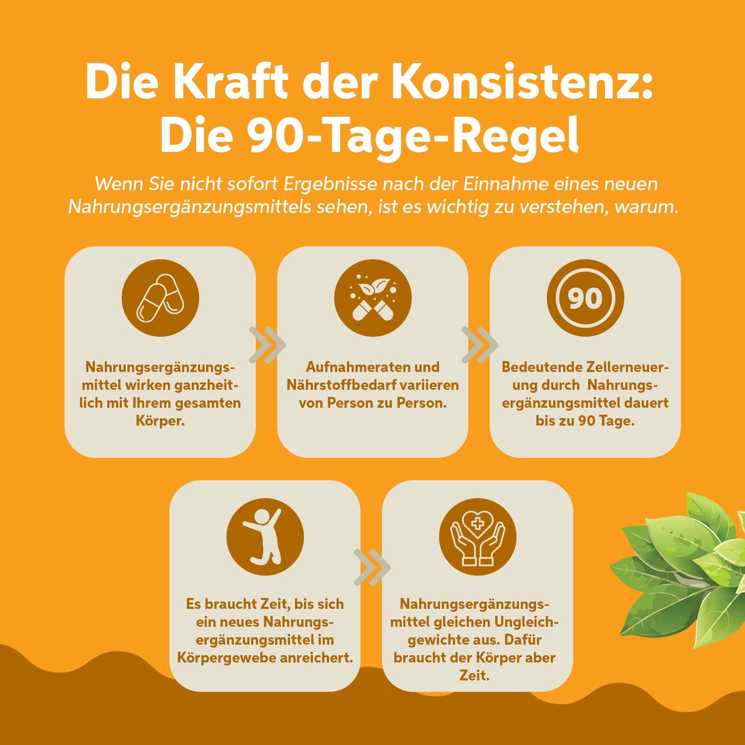 Vitamin D3 + K2 + Omega 3 Kapseln Eltabia