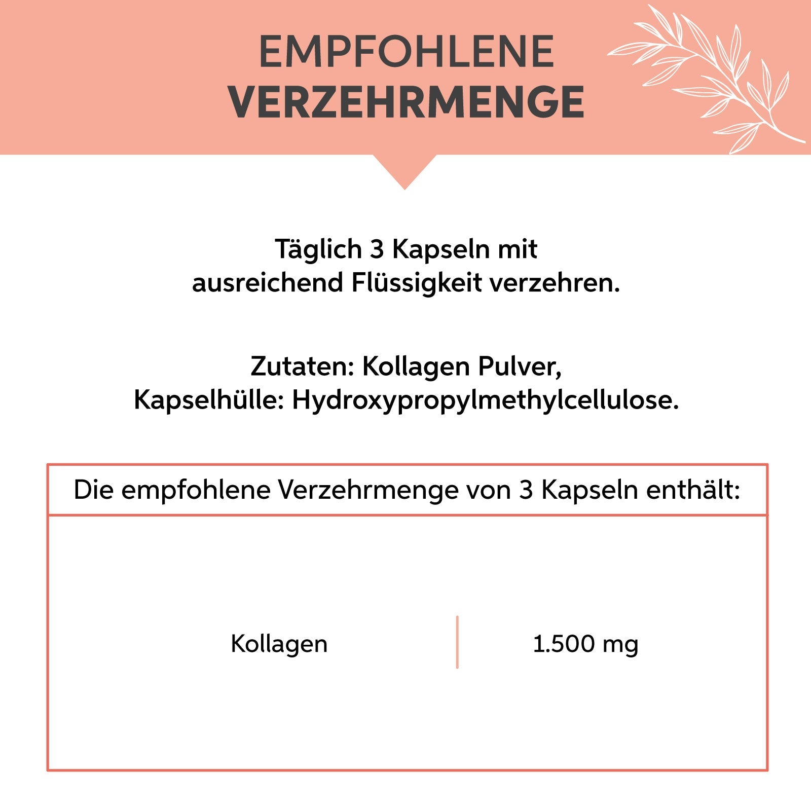 Kollagen Hydrolysat Kapseln Eltabia