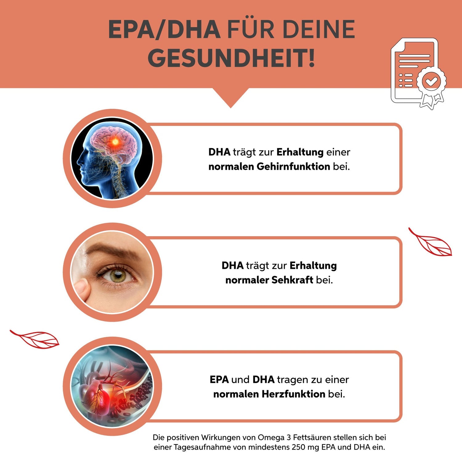 Krillöl Kapseln Eltabia