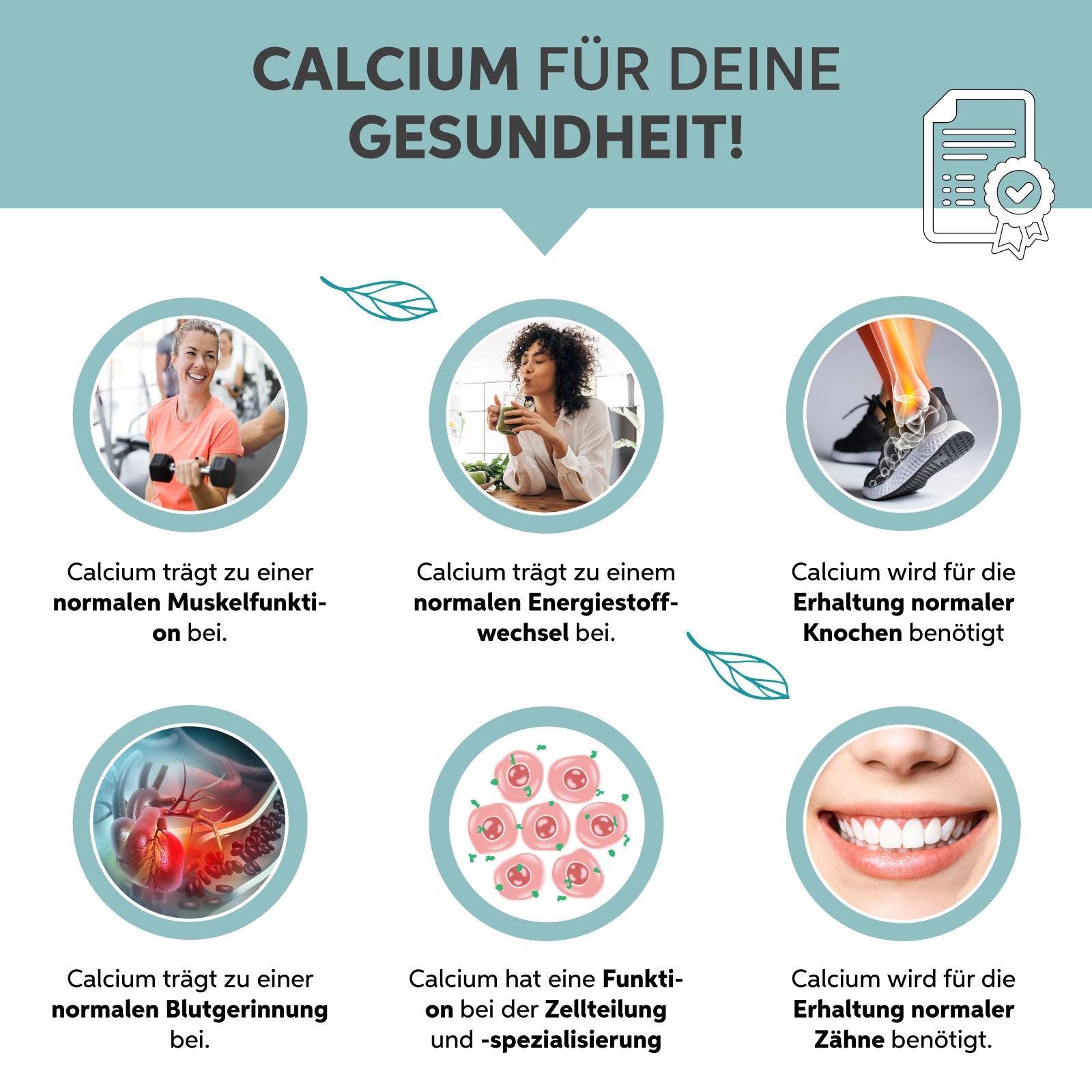 Sango Meereskoralle Pulver Eltabia