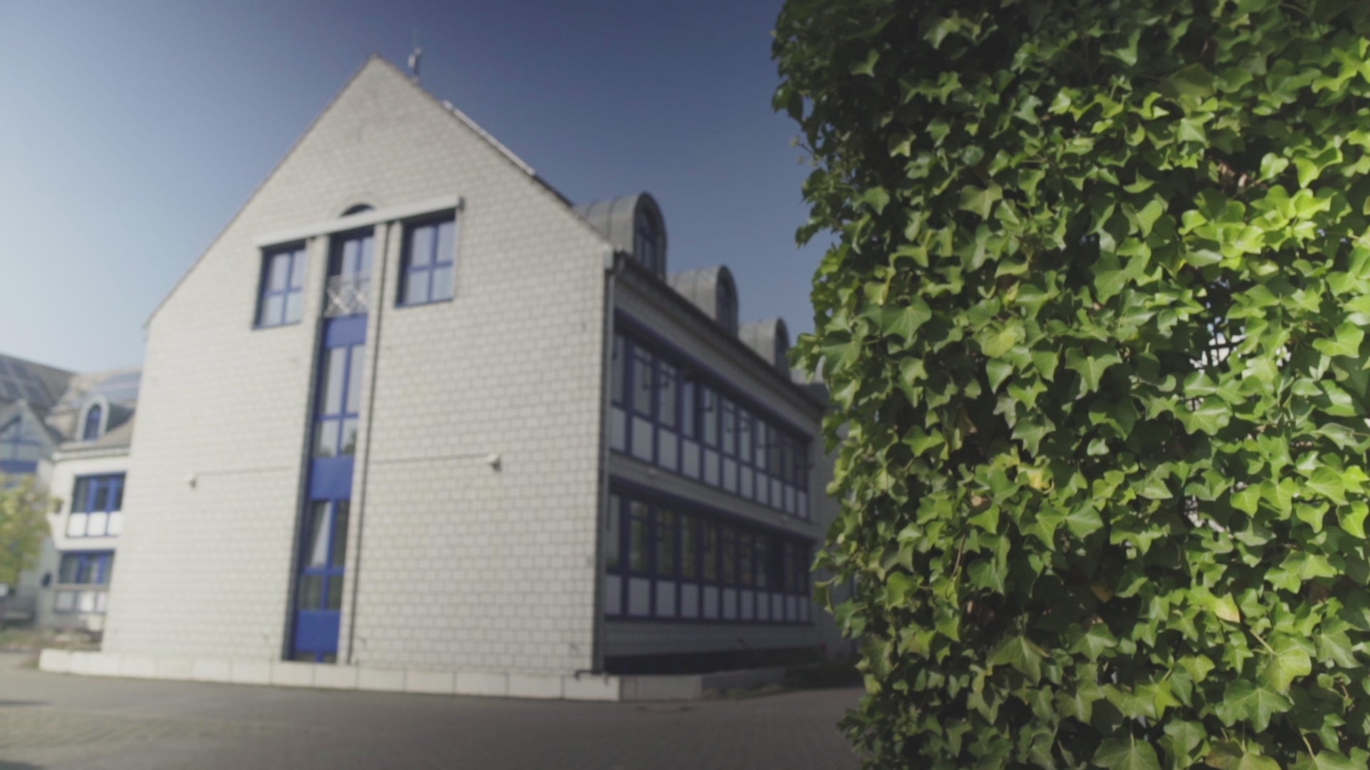 Laden Sie das Video: 